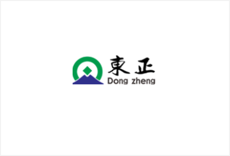 东正环保